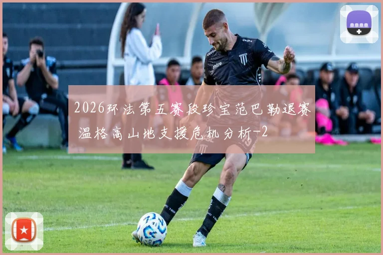 2026环法第五赛段珍宝范巴勒退赛 温格高山地支援危机分析