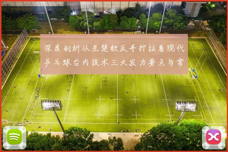 深度剖析从王楚钦反手拧拉看现代乒乓球台内技术三大发力要点与常见错误纠正